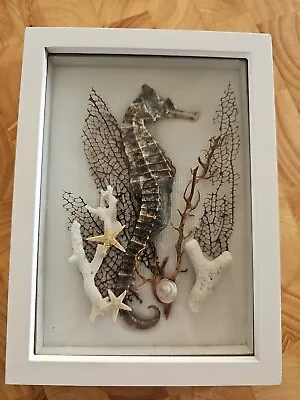 Dried Seahorse Coral Shell Shadowbox  5 X7  Handmade Original • $30