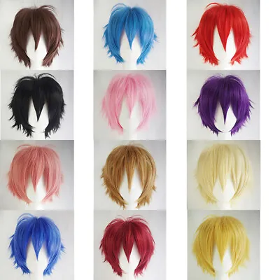 Men Male Short Full Wigs Boys Anime Cosplay Costume Party Synthetic Hair Wig Set • $14.99