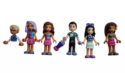 Lego Friends Mini Figure Lot And Accessories • $29.99