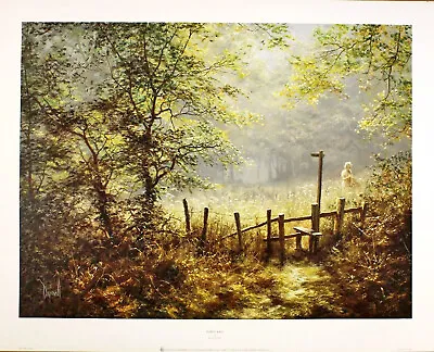 David Dipnall  Early July  Landscape Nature Sunlight Brown Fine Art Print • £29.99