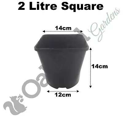 2 Litre Square Plant Pots 14cm ( 5.5  ) Black Plastic 1cm Deep Seed Flower Pot • £5.65