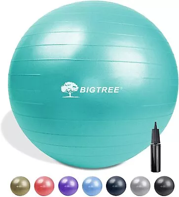 $30.99 • Buy Exercise Yoga Ball Extra Thick Yoga Ball Pilates Balance Anti-Burst - 55/65/75