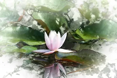 Abstract Water Lily Canvas Picture Poster Print Wall Art Unframed #677 • £7.73