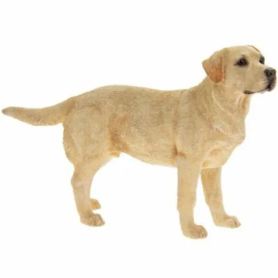 Golden Labrador Dog Ornament Figurine Gift Boxed  • £13.99
