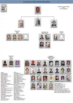 Lucchese Family Chart 8x10 Photo Mafia Organized Crime Mobster Mob Picture 2016 • $5.99