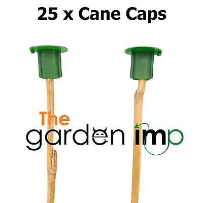25 Cane Caps Plastic Garden Bamboo Toppers Protectors Garden Safety Small Canes • £5.19