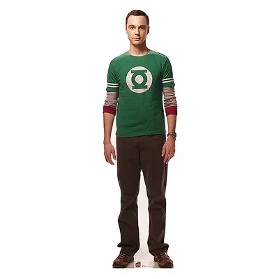 SHELDON COOPER Big Bang Theory Jim Parsons CARDBOARD CUTOUT Standup Standee • $49.95