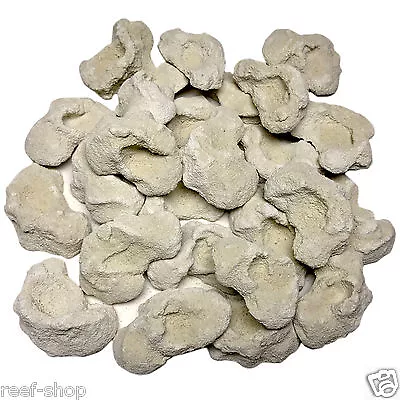 25 Cured Reef Rock Frag Plugs Live Coral Propagation Aragonite Coral Frag Rocks • £24.69