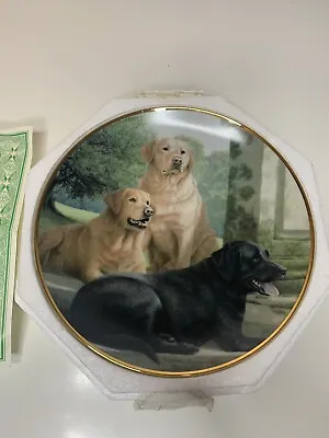 £14.99 • Buy CANINE COMPANIONS Franklin Mint Plate Labradors / Retriever Dogs Nigel Hemming