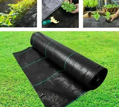 1.5m Wide 100gsm Weed Control Fabric Ground Membrane Landscape Garden Cover • £3.99