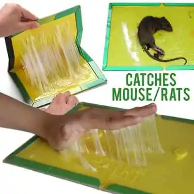 1-24 Mouse-Rat-Mice-Roach-Pest-Spider-Snake Glue Traps Super Sticky LARGE 8x12  • $30.95