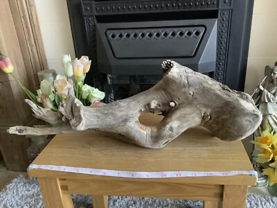 £10.99 • Buy Driftwood , Aquarium, Vivarium, Art, Craft,shop Window/Floral Display,