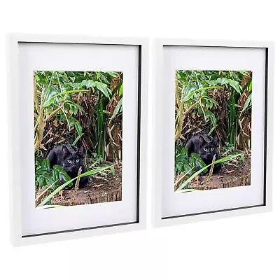 2x White A3 (12  X 17 ) Acrylic 3D Box Photo Picture Frame - White A4 Mount • £22