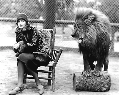 Greta Garbo With Mgm Mascot  Leo The Lion  - 8x10 Publicity Photo (ee-027) • $8.87