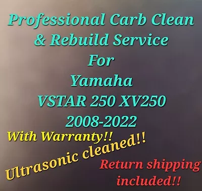 2008-2022 Yamaha VSTAR 250 Professional Carb Clean & Rebuild Service XV250 • $300