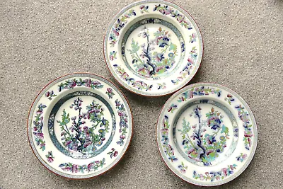 3 X Indian Tree 10½  Deep Plates/Bowls - Opaque China By S Hancock And Sons • £26