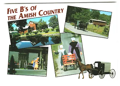 Postcard 4x6 PA 5 B's Of The Amish Buggies Barefeet Bonnets Barns Bridges • $5.65
