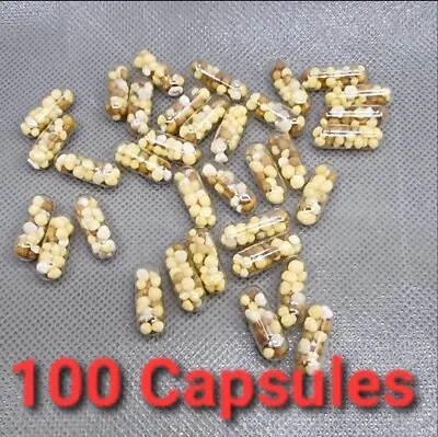 100 X Fast Growing Miracle Gro All Purpose Continuous Release Plant Food Capsule • £9.95