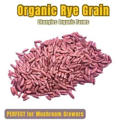 10lb Organic Rye Grain - Mushroom Grain Spawn Substrate - Locally Sourced Grains • $19.95