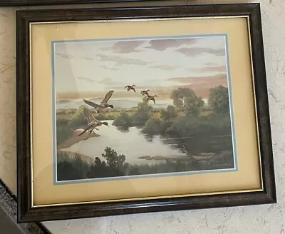 Charles E Murphy Framed Vintage Print Mallards Approaching The Water 12 X 15 • $29.99