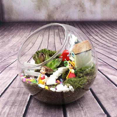 £6.28 • Buy Succulent Glass Vase Plant Terrarium Stand 2 Globe Pot Decors Flower Air Hanging