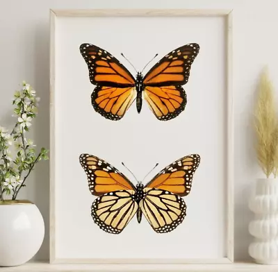 Vintage Botanical Butterfly Print Monarch Illustration Floral Wall Art Print • $9.99