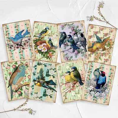 Shabby Chic Bird Card Toppers Floral Cardmaking Tags ATC Journals Craft • £2.80