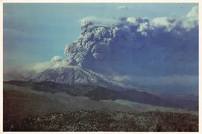 Mount St Helens Eruption Volcano 1980 Washington Unused 6x4 Vtg Postcard U5 • $2.80