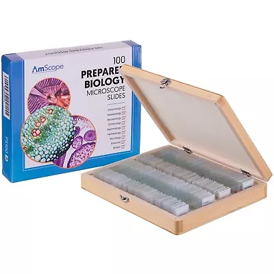 AmScope PS100D 100 Anatomy Botany Prepared Microscope Slides - Set D • $59.99