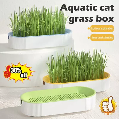 Hydroponic Cats Grass Box Wheatgrass Grower Nursery Tray Seed Sprouter Tray   • $4.07