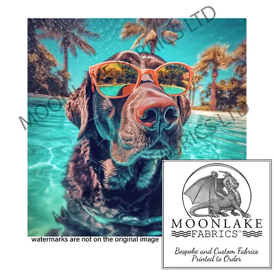 Chocolate Labrador In A Pool  Fabric Craft Panels In 100% Cotton Or Polyester • £2.45