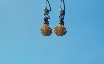 Petite Pectin Scallop Shell Earrings With Glass Beads. Handmade • $11