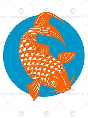 Painting Koi Carp Gold Fish Japanese Scales Tail Fin Poster Print Bmp11346 • £11.99
