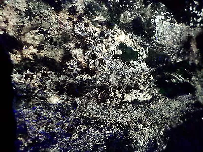 $2750 • Buy Kb: 13  Size Museum Disseminated Sw Fl. Powellite/molybdenite, Moore Mine, Ca