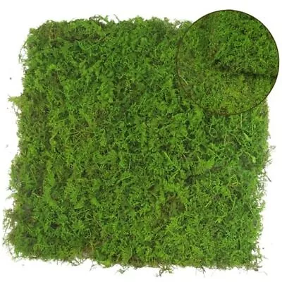 2 Pcs Preserved Sheet Moss For Potted Plants 2 Sq.ft. Dried Green-2 Sq.ft • $36.75