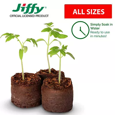 £2.99 • Buy Jiffy 7 Peat Pellets Propagation Compost Plug Seed Cuttings Hydroponic Organic