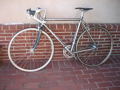 Vintage 53 Cm Merlin Extralight Titanium Campagnolo 8 Speed Record Ergo • $3795