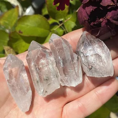 Natural Clear Quartz Raw Rough Crystal Point Crystals Gemstones Stones UK Shop • £6