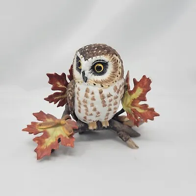 $19.99 • Buy Lenox Saw Whet Owl Garden Bird Collection Fine Porcelain 1995 Figure