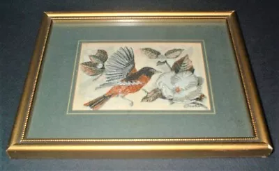 COLLECTOR SERIES CASH'S BALTIMORE ORIOLE FRAMED SILK WOVEN PICTURE  J. & J. Cash • £7.99