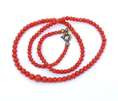 Beautiful VINTAGE Deep RED Mediterranean CORAL Graduated Bead Strand Necklace 16 • $495