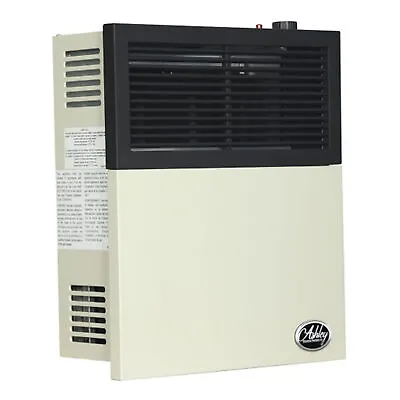 Ashley Hearth Products 11000 BTU Direct Vent Liquid Propane Wall Mount Heater • $349.99