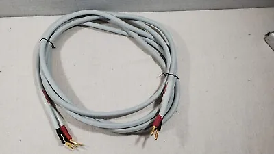 Monster Cable M Series MCX 2S Speaker Cable Bananna / Spade Connectors - 4m • $29.95