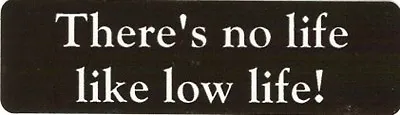Motorcycle Sticker For Helmets Or Toolbox #437 There's No Life Like Low Life! • $2.02