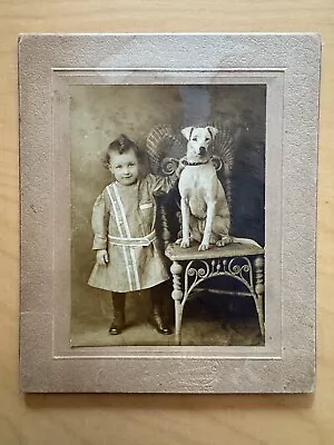Vintage CABINET PHOTO Young Girl With Pet Dog • $9