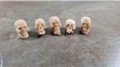 Miniature Skulls Tiny 5 Random 1:12 Scale Halloween Decoration Scale Model Resin • $4.99