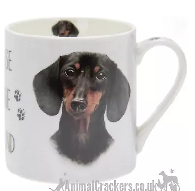 House Not A Home Dachshund China Mug By Leonardo Sausage Dog Lover Gift Boxed  • £7.95