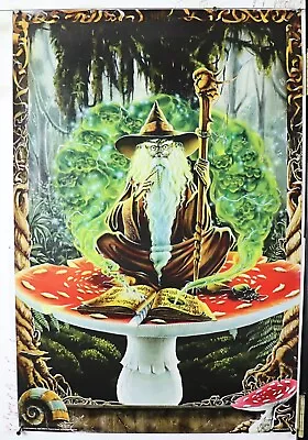 Wizard On Mushroom POSTER Rare Richard Biffle 24.25  X 36.50  NOS (b288) • $18.99