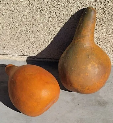 $25 • Buy Gourds Large And Medium Set Of 2 Dried Craft Ready Art Painting Design