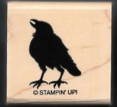 RAVEN CROW SCARY GRAVEYARD GALA Halloween Spooky NEW Stampin' Up! RUBBER STAMP • $11.99